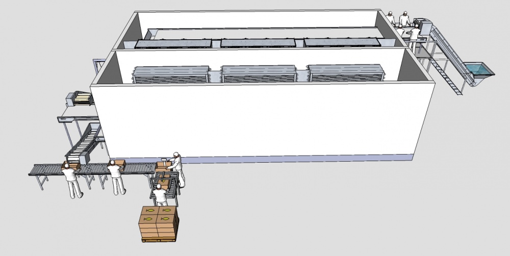 Projetos para linha de congelamento glaciamento e secagem